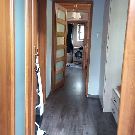 Ferienhaus Borcsik House